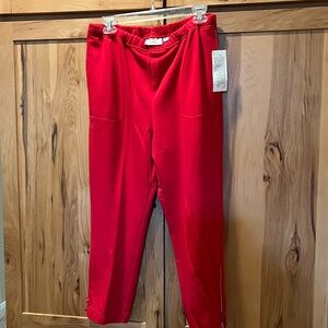 size medium, red, sweatpants, rhinestone side, zippers, and pockets